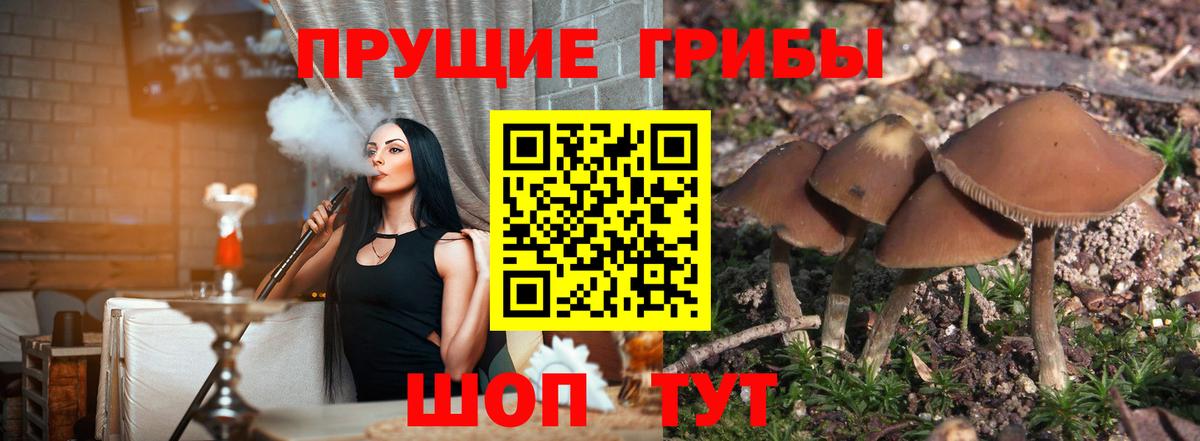 Галлюциногенные грибы мухоморы  Вход с VPN  Гусь-Хрустальный 