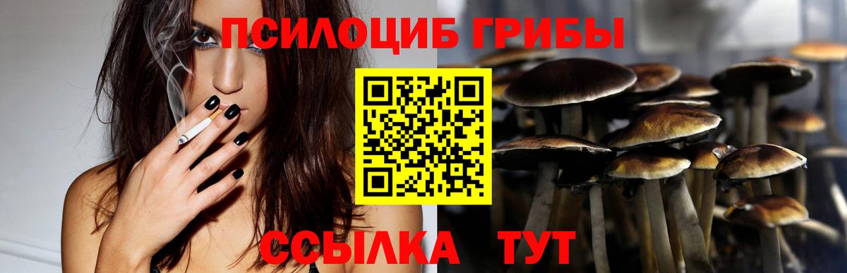 Псилоцибиновые грибы мухоморы Гусь-Хрустальный